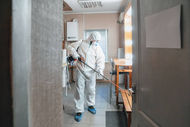 Professional Mold Removal in Wheeler Af, HI