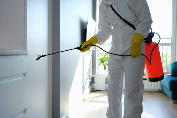 Best Residential Mold Inspection & Testing  in Wheeler Af, HI