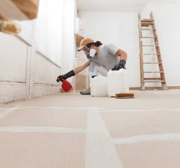 Best Indoor Air Quality Assessment  in Wheeler Af, HI