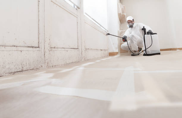 Best Industrial Mold Remediation  in Wheeler Af, HI